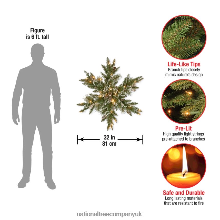 Greenery | National Tree Company Pre-Lit Artificial Christmas Star Wreath Green Glittery Bristle Pine White Lights Decorated with Pine Cones Frosted Branches Christmas Collection 32 Inches F2L4